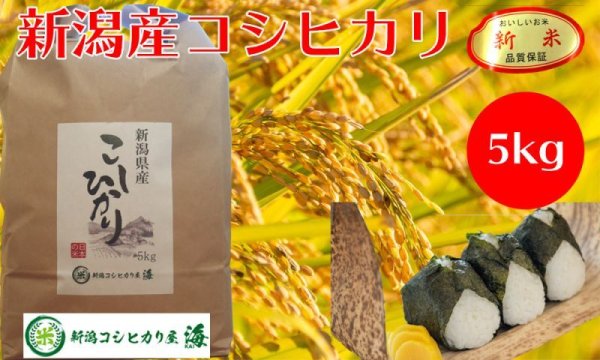 画像1: 新潟産コシヒカリ5kg (1)