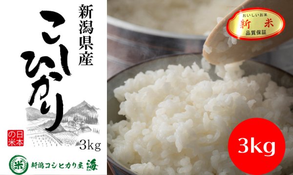 画像1: 新潟産コシヒカリ3kg (1)