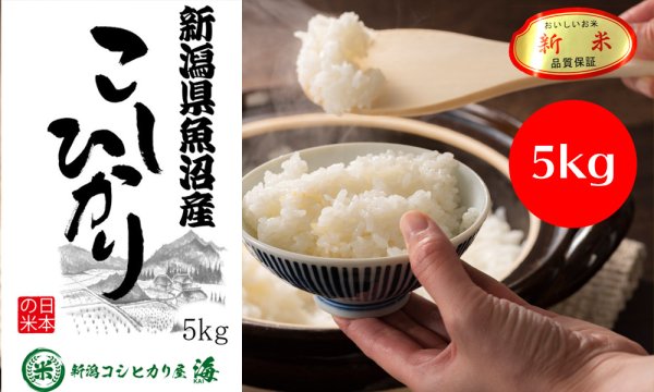 画像1: 魚沼産コシヒカリ5kg (1)