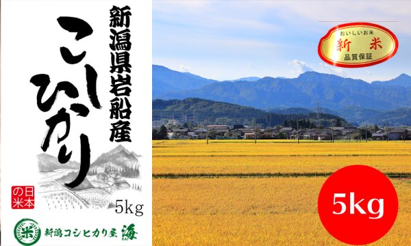 画像1: 岩船産コシヒカリ5kg (1)