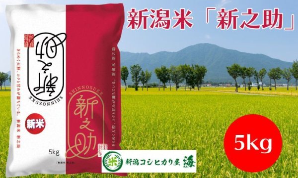 画像1: 新潟米新之助5kg (1)